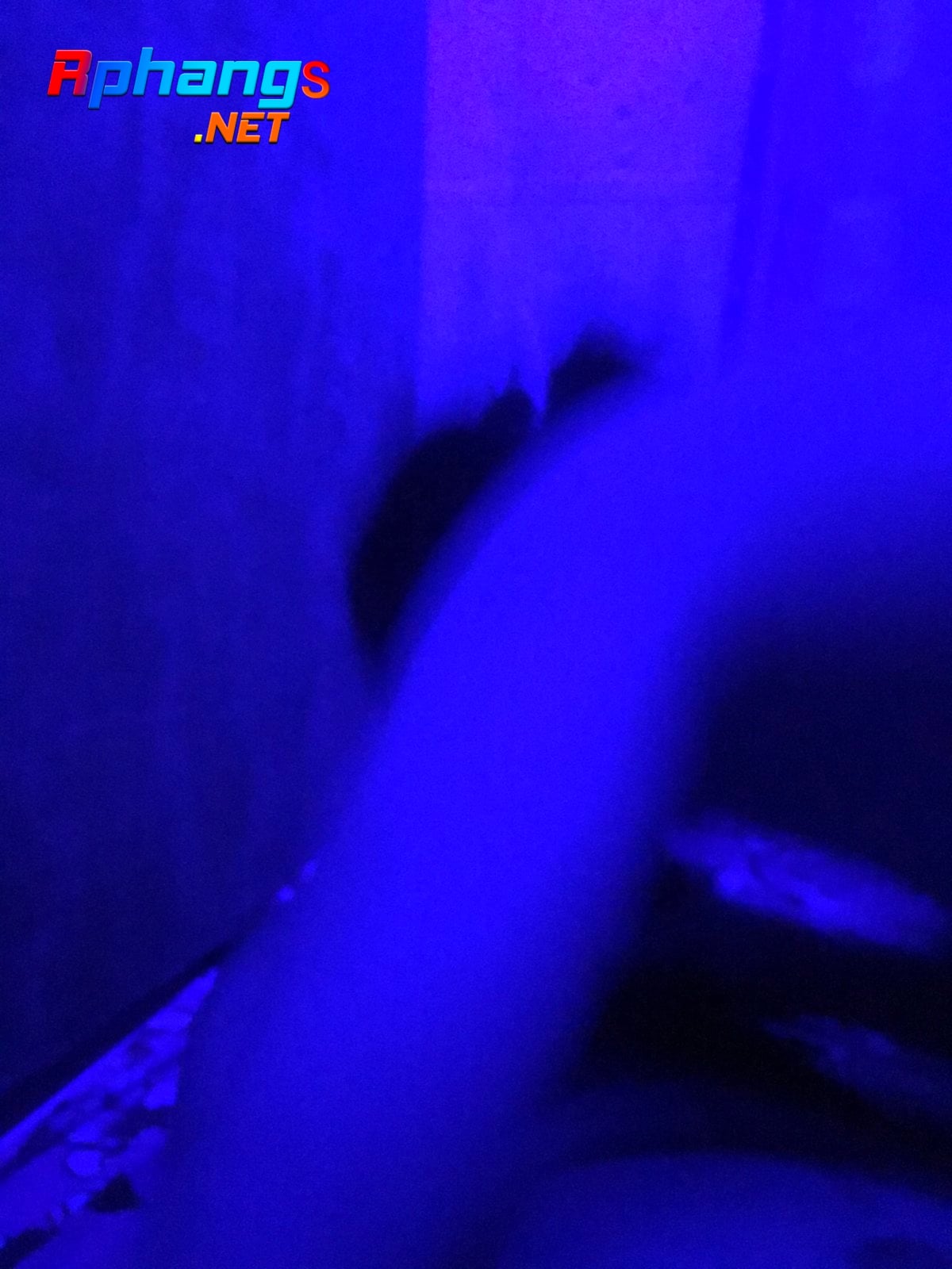 B05878C0-F71E-4B60-BB59-AB194C010463.jpeg