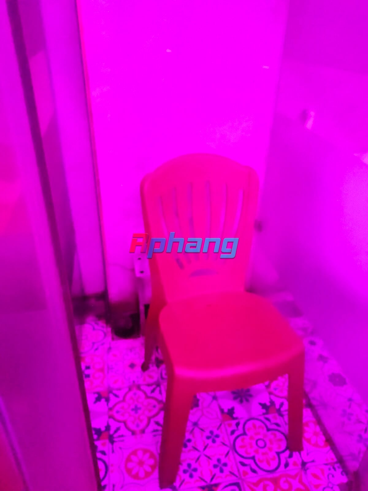 IMG20230717225316.jpg
