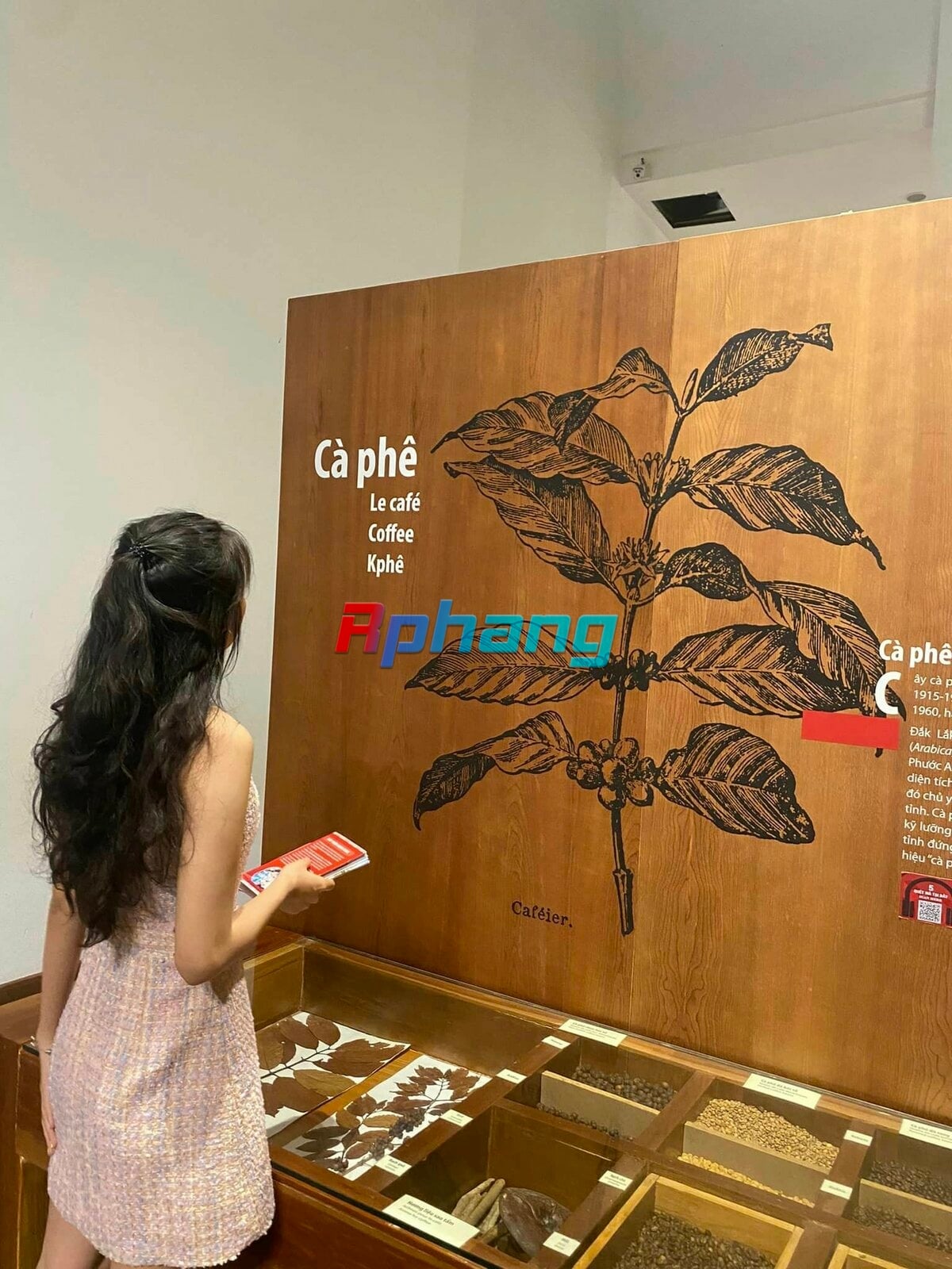rp1.jpg