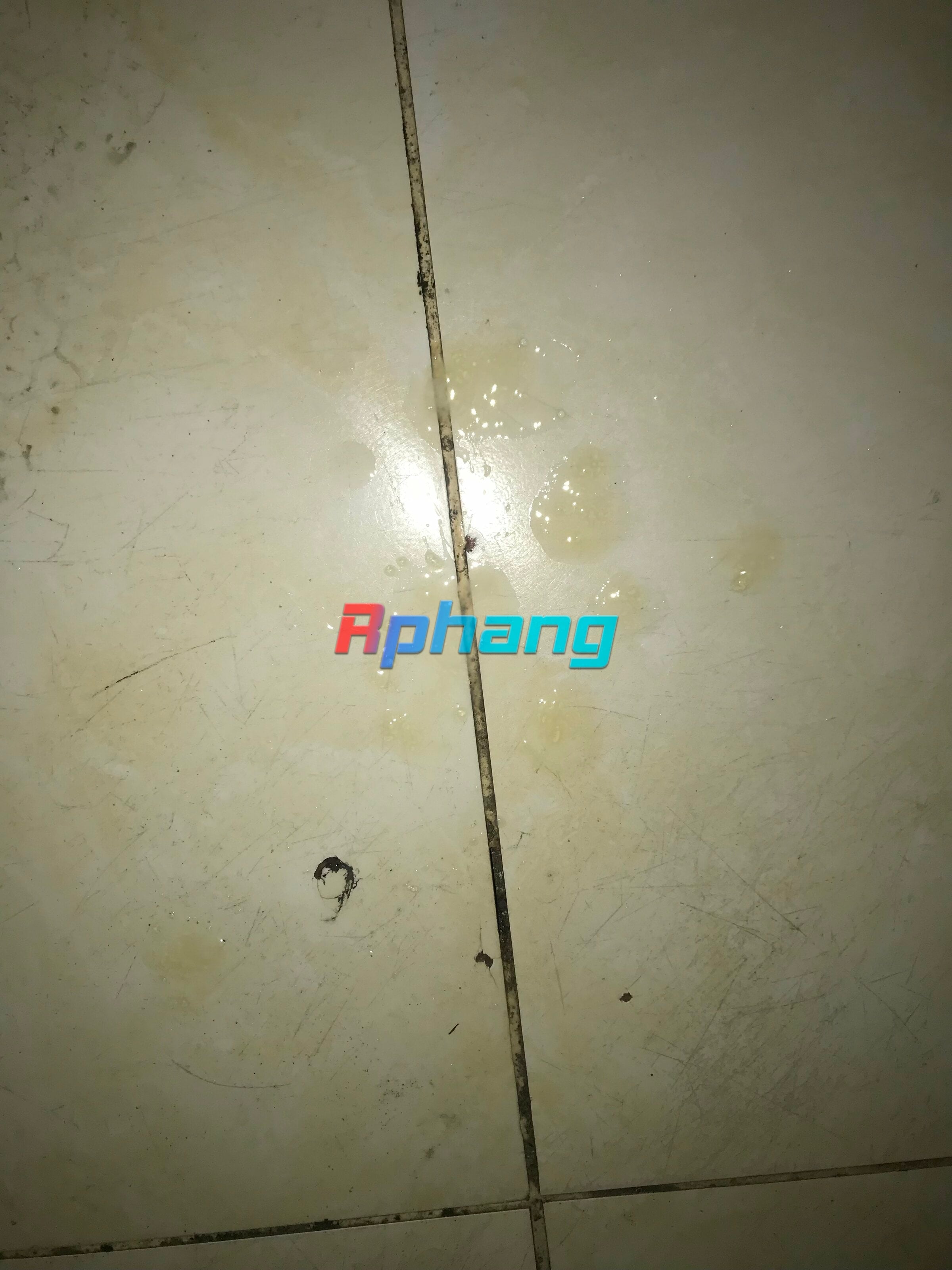 E234A166-F435-481F-A01A-0B9478A45CE6.jpeg