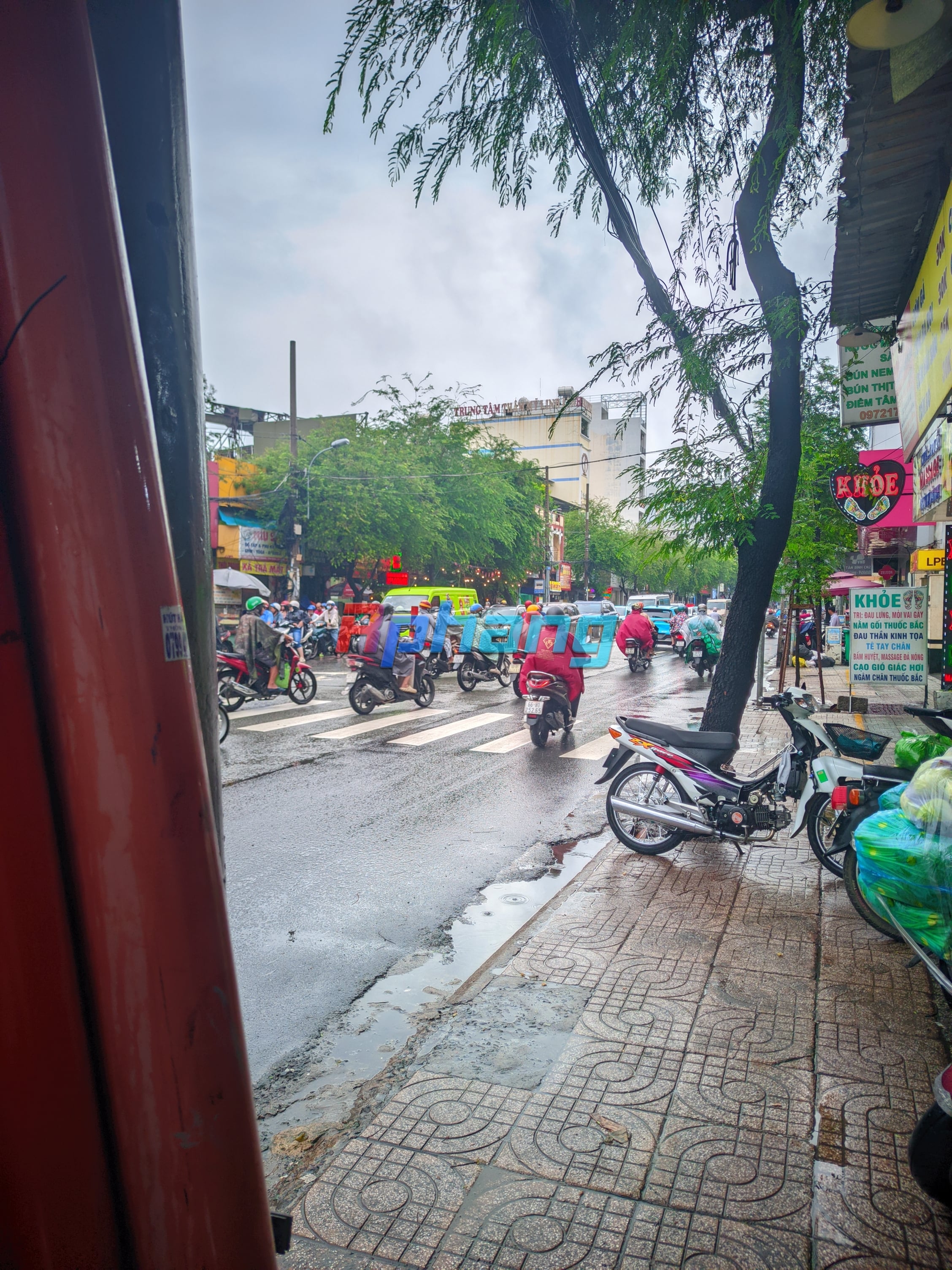 px20250927_155554736.jpg