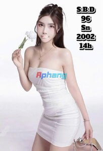 96.jpg