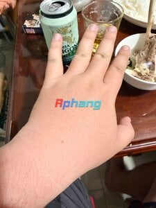 IMG_2538.jpeg