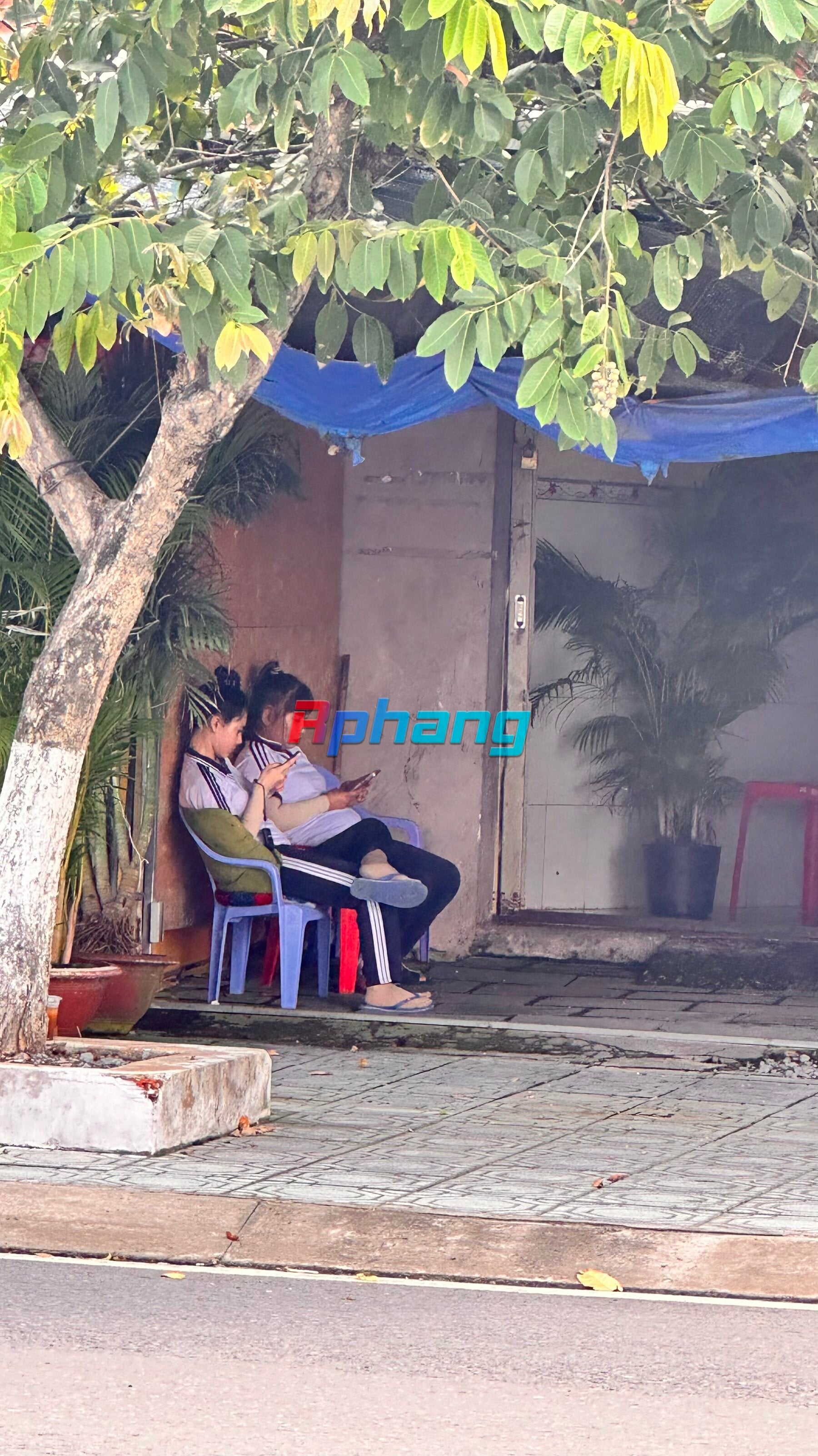 IMG_7582.jpeg