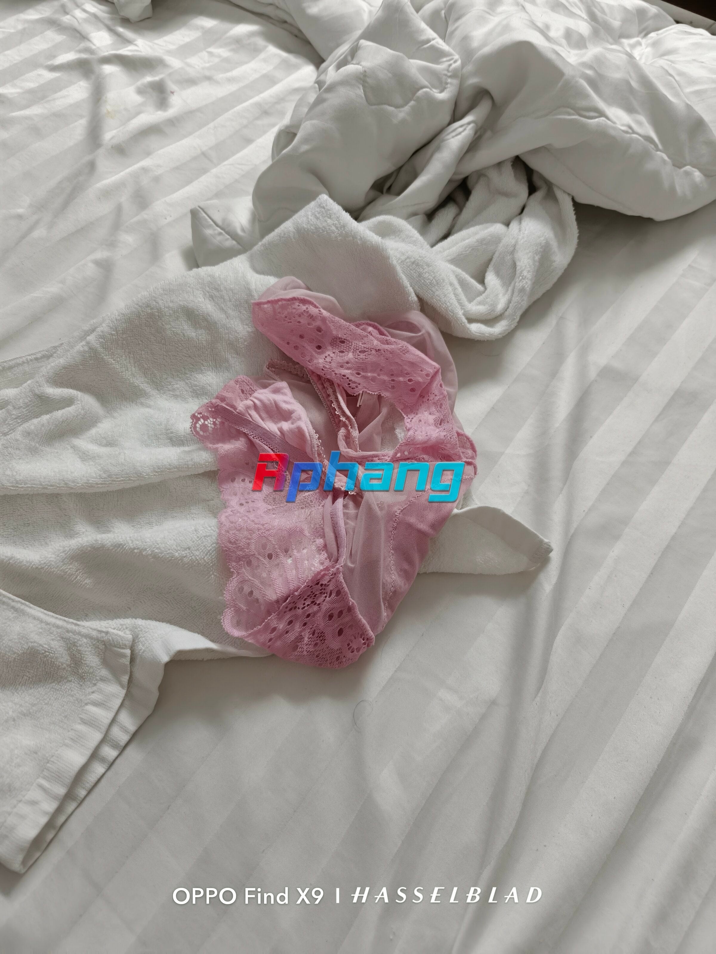 IMG20260930104620.jpg