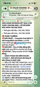 IMG_0806.png