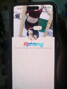 IMG_4193.jpeg