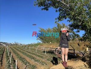 IMG_9430.jpeg