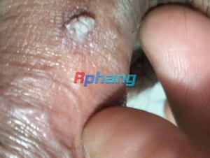 IMG_3939.jpeg