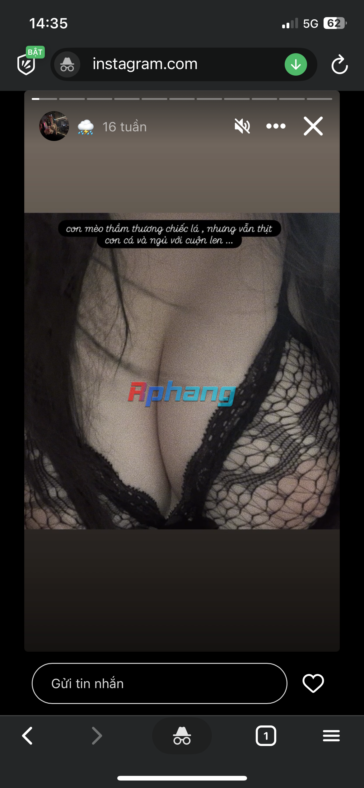 IMG_3143.png