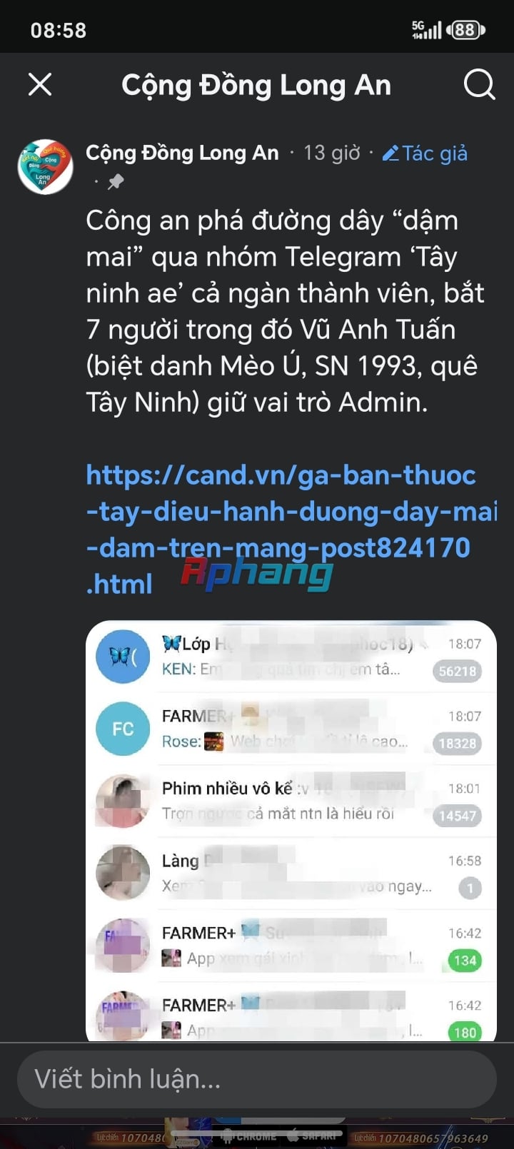 3925.jpg