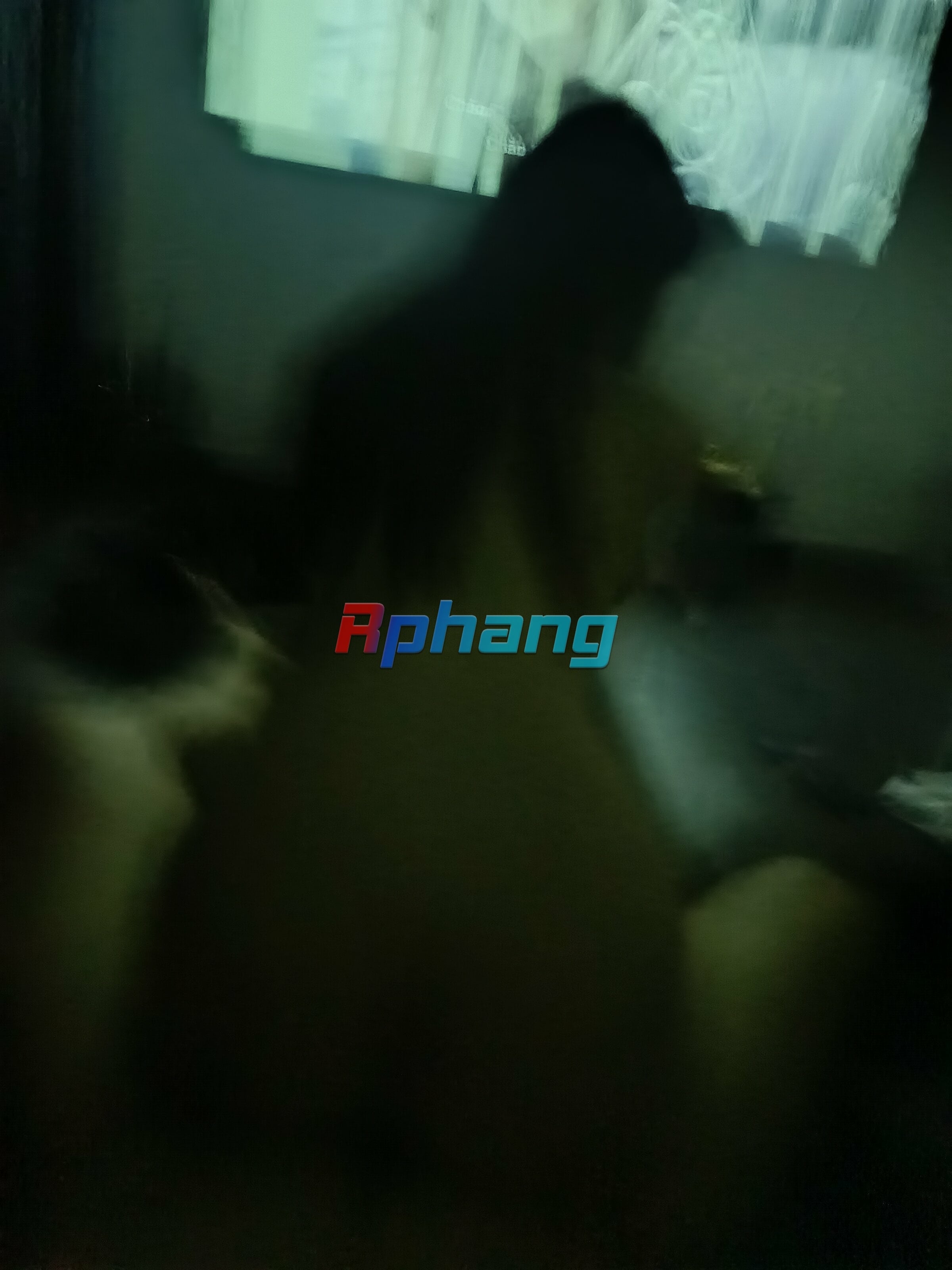 IMG_20261009_175759.jpg