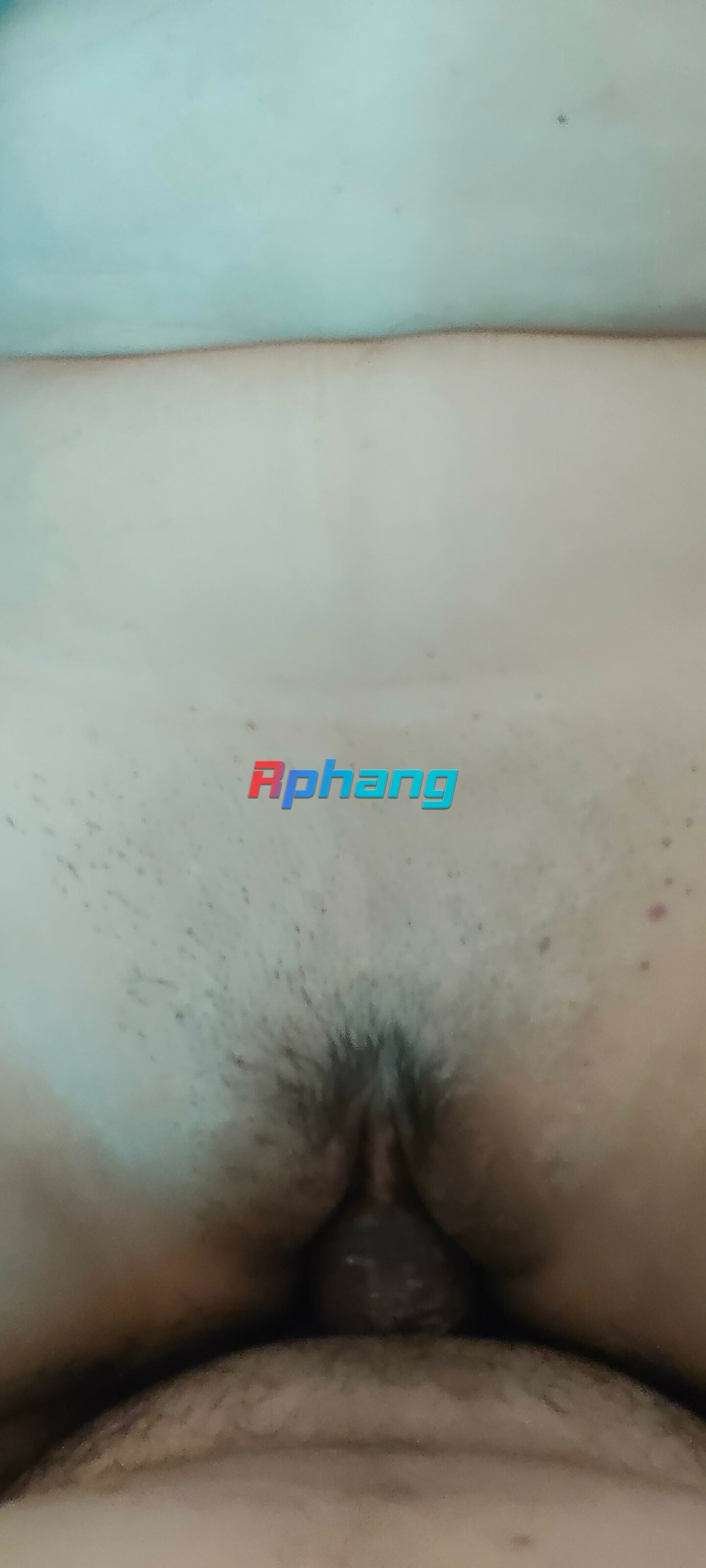 IMG20261010140154.jpg