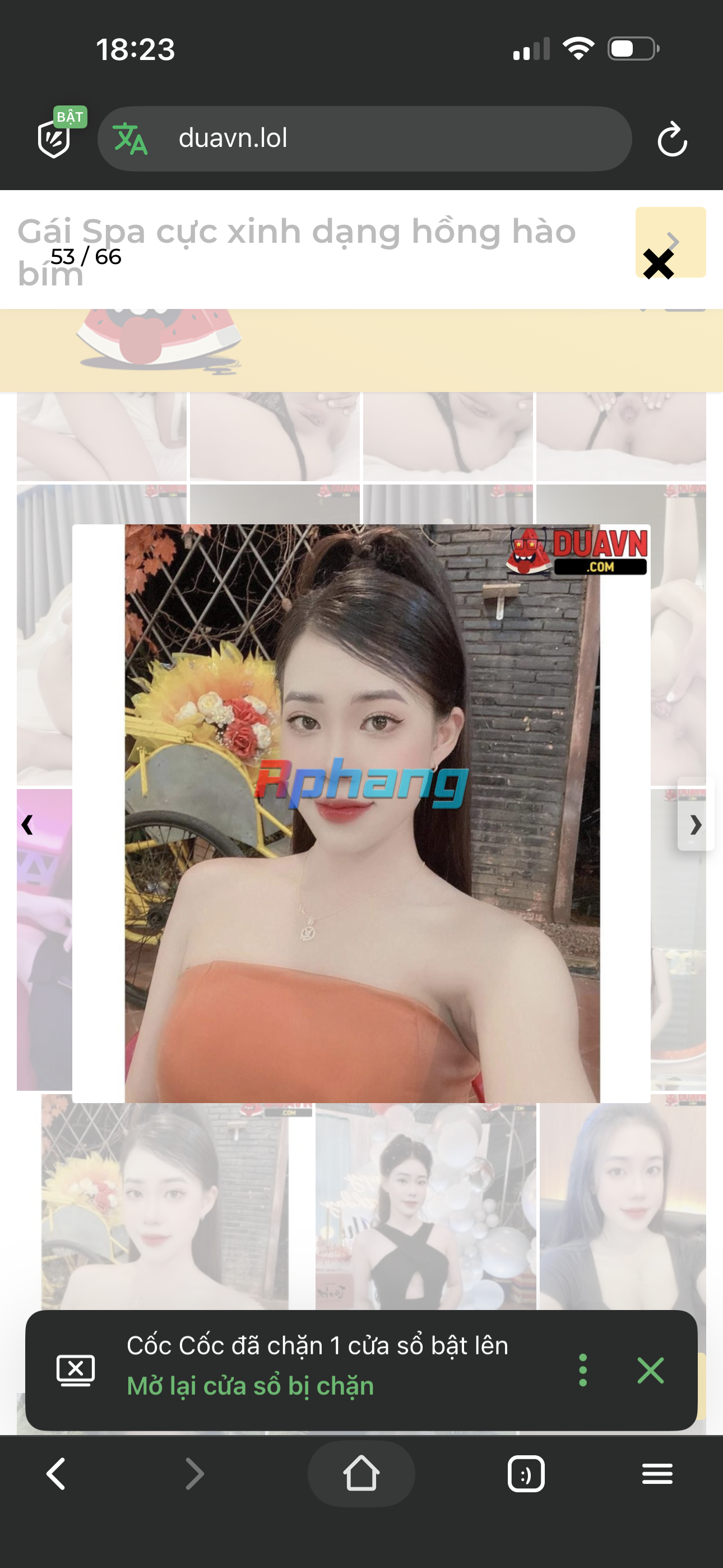 IMG_4831.png