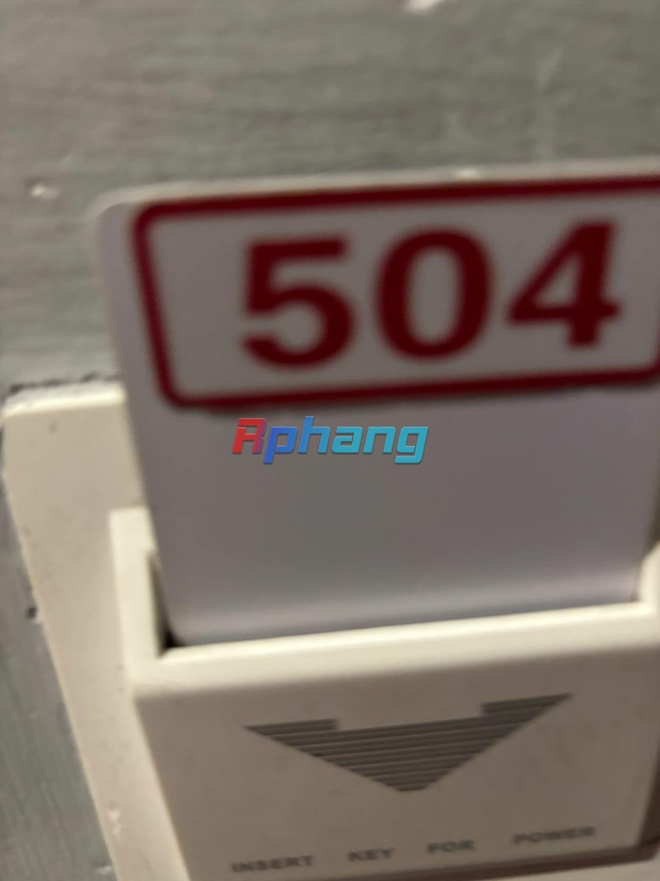 IMG_6392.jpeg