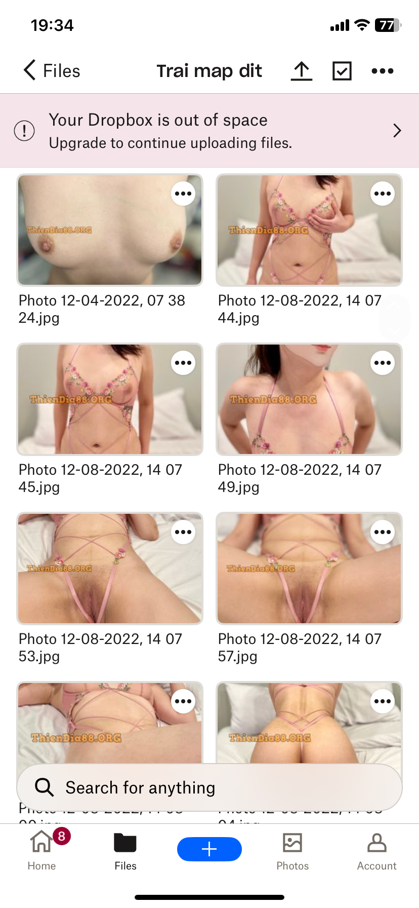 IMG_9501.png