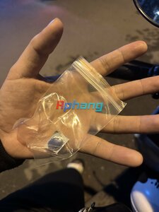 IMG_1557.jpeg