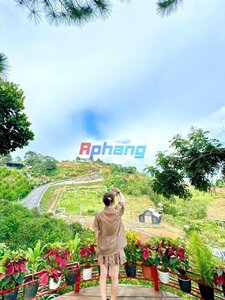 IMG_0270.jpeg