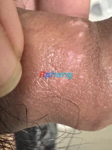 IMG_3965.jpeg
