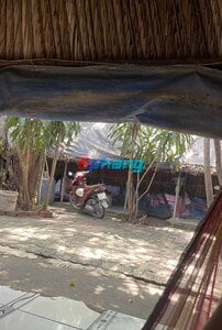 IMG_3502.jpeg