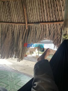 IMG_0799.jpeg