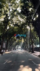 IMG_3008.jpeg