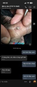 IMG_4017.jpeg