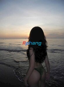 IMG_1263.jpeg