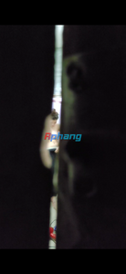 IMG_4735.png