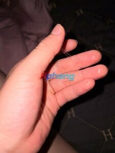 IMG_4733.jpeg