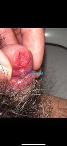 IMG_4040.jpeg