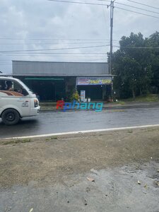 IMG_5967.jpeg