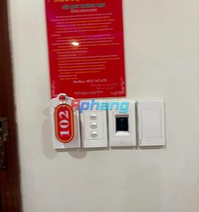 IMG_3229.jpeg