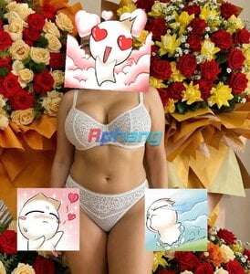 264.jpg