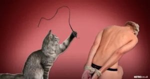 ac_cat_bondage_comp.jpg