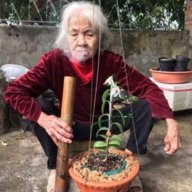 sinh nguyễn