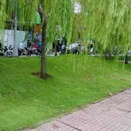 anhdubonek1