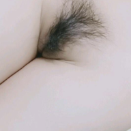 Tqt88
