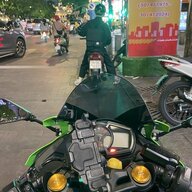 trau_sao_vang