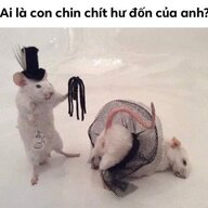 Cậu3ĐẩyXeBò