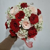Tran_hieu9
