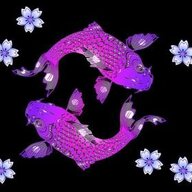 hoàng viet1998