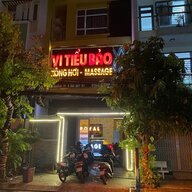 MSVi Tieu Bao
