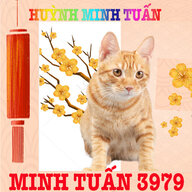 Huỳnh M Tuấn