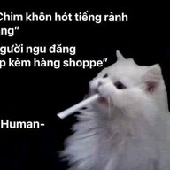 affk hihi
