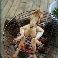 Ho bang