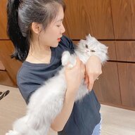 kieuvanxx