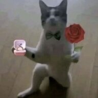 Anh3phutphut3phat