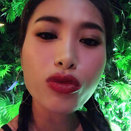 Vietphuctoy
