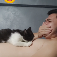 thihditgais
